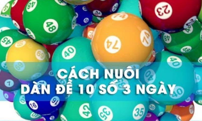 Cách nuôi dàn đề 10 số bất bại